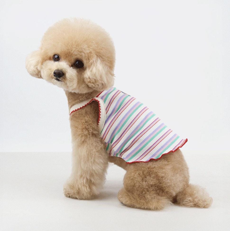 Teddy Stripe Ribbed Top in multi-colored stripes