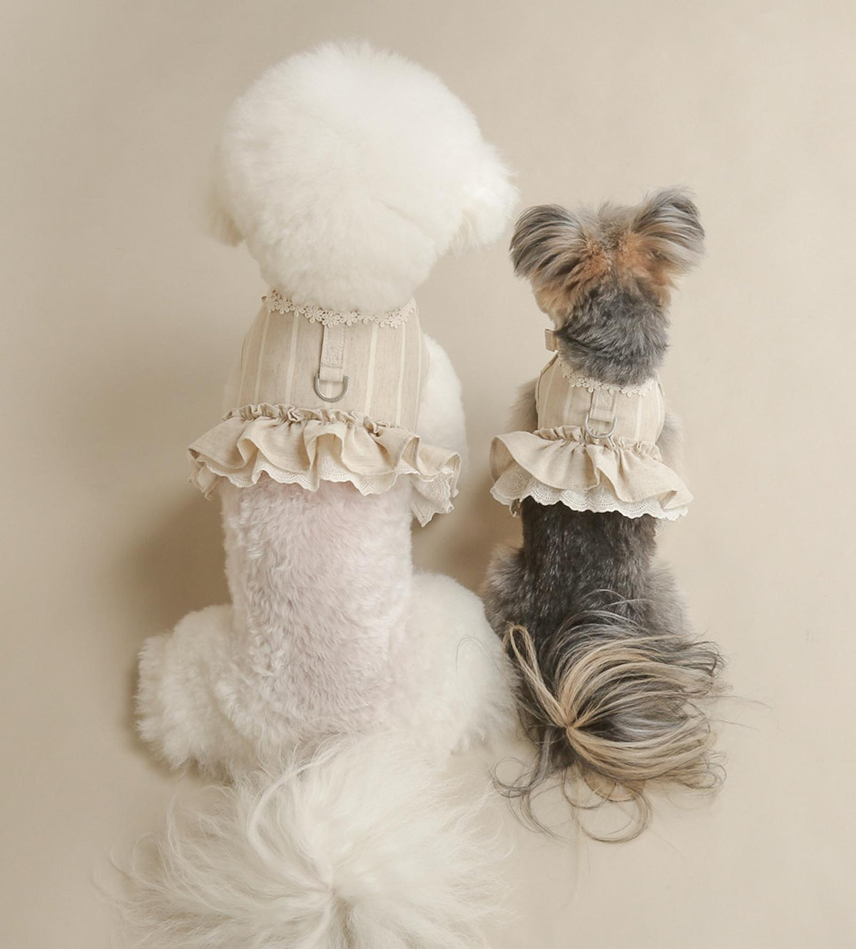 NKpup Chic Linen Ruffle Harness in beige for small dogs