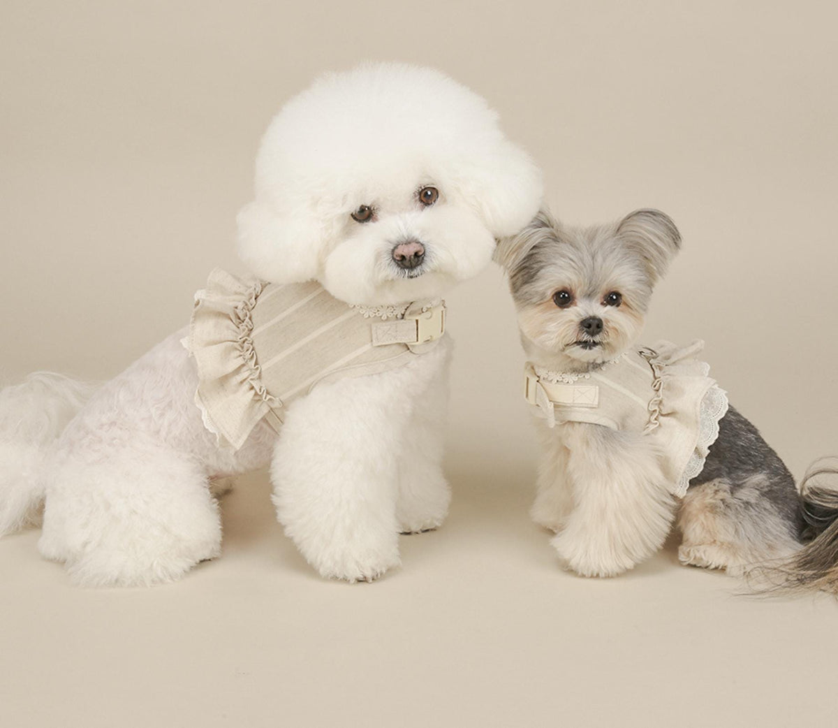 Chic linen ruffle harness in cream for dogs by NKpup