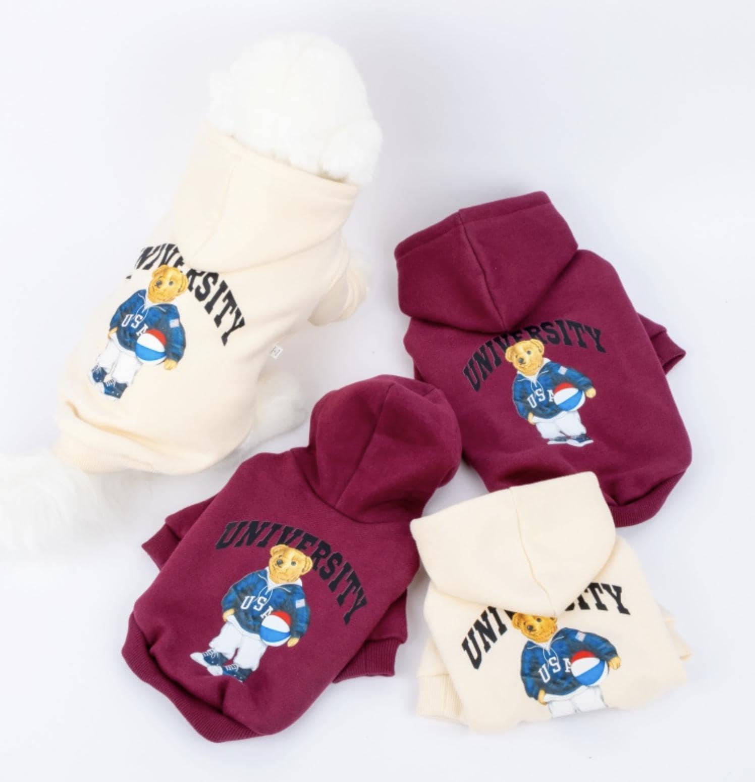 University Bear Hoodie Sweatshirt, S-XL, Small Dog Clothes, Cotton Shirt, Dog-Tee, Dog T-shirt, Dog Top, NKPUP - NKpup