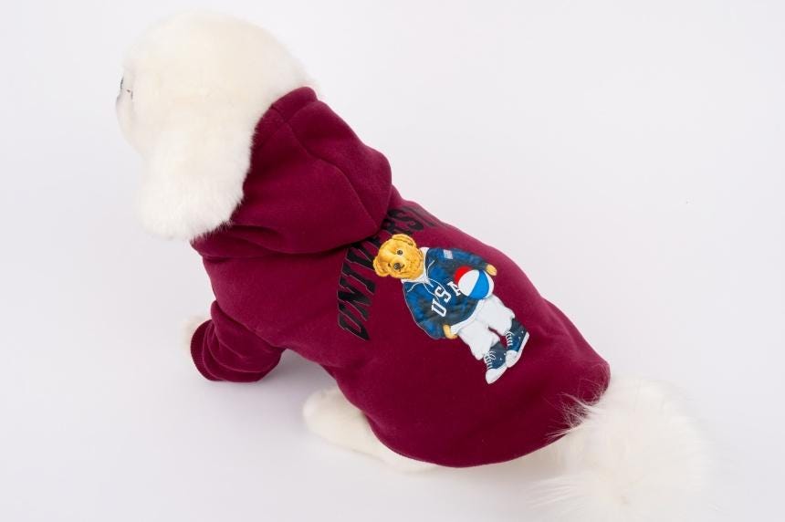 University Bear Hoodie Sweatshirt, S-XL, Small Dog Clothes, Cotton Shirt, Dog-Tee, Dog T-shirt, Dog Top, NKPUP - NKpup
