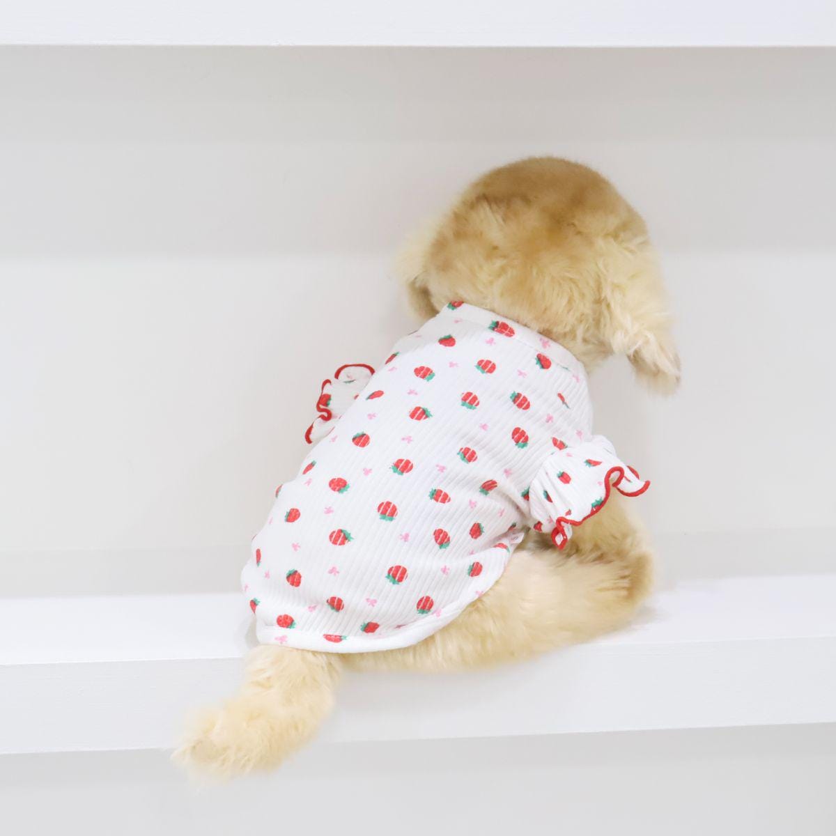 NKpup Strawberry Frill Top white dog shirt with red strawberry pattern and ruffled sleeves