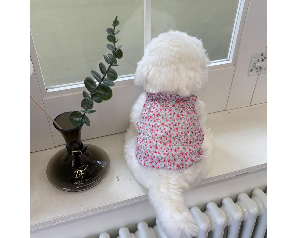 NKpup white dog wearing a pink floral ruffle neck top