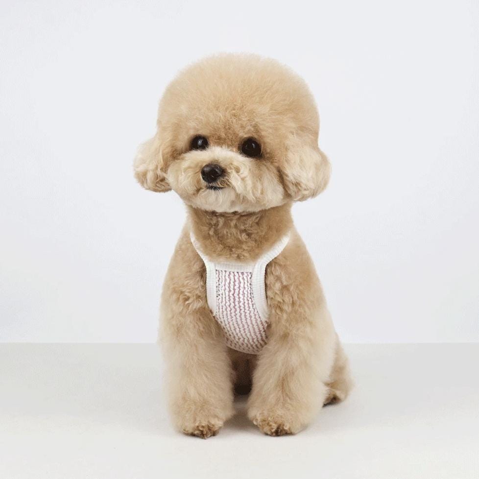 NKpup seersucker stripe dog tank top in pink and white