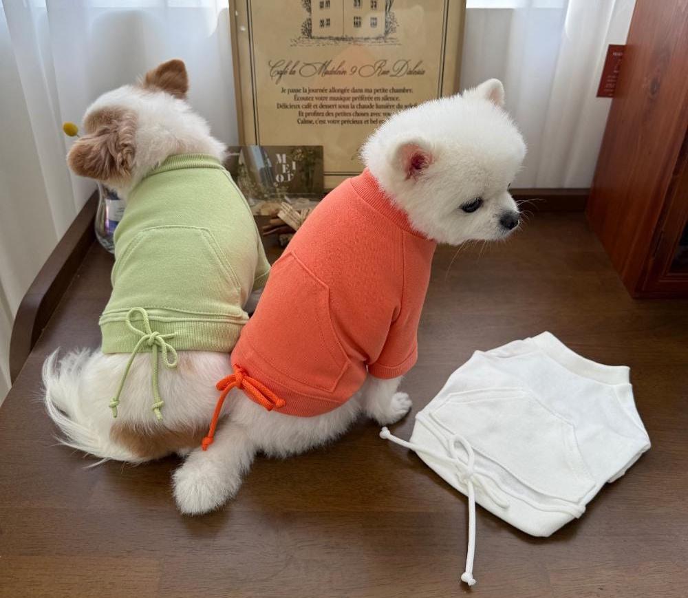 Two small dogs wearing NKpup minimal drawstring sweatshirts in sage green and coral orange.