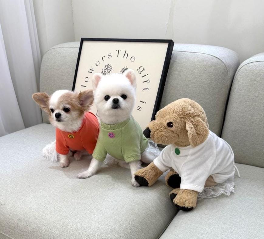 NKpup minimal drawstring sweatshirts for dogs in orange, light green, and white.