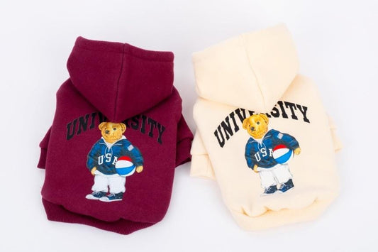 University Bear Hoodie Sweatshirt, S-XL, Small Dog Clothes, Cotton Shirt, Dog-Tee, Dog T-shirt, Dog Top, NKPUP - NKpup