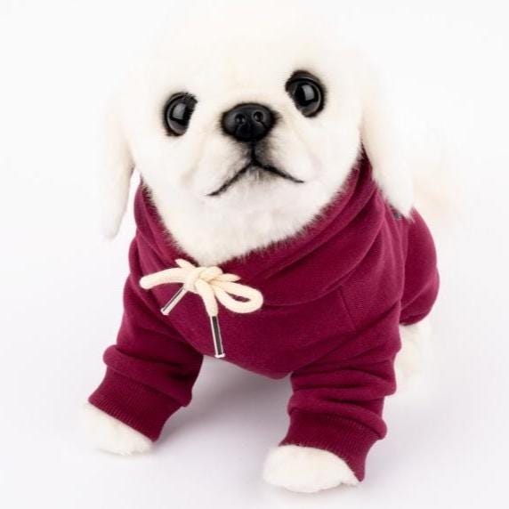 University Bear Hoodie Sweatshirt, S-XL, Small Dog Clothes, Cotton Shirt, Dog-Tee, Dog T-shirt, Dog Top, NKPUP - NKpup