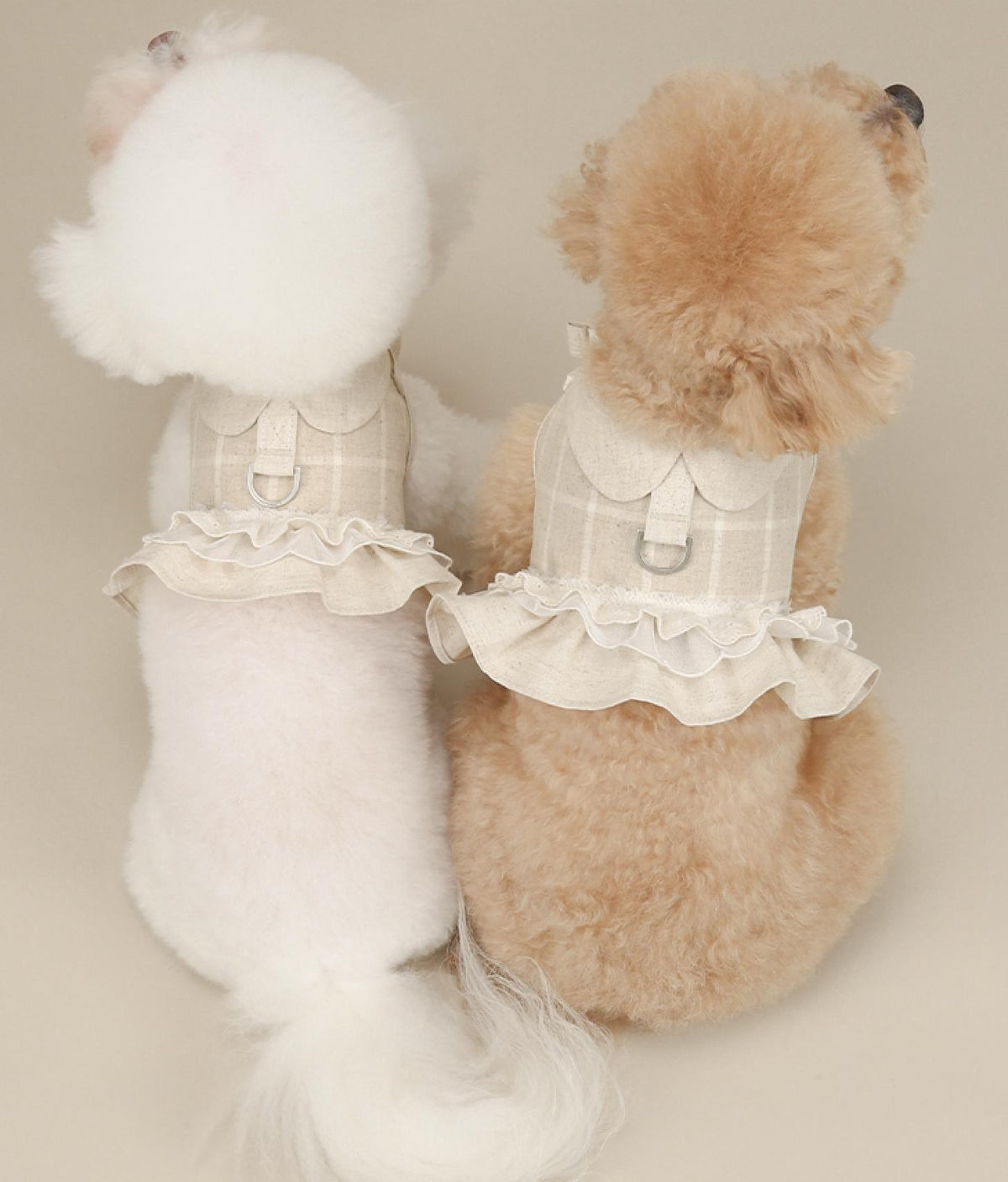Chic linen ruffle harness in cream plaid pattern for pets
