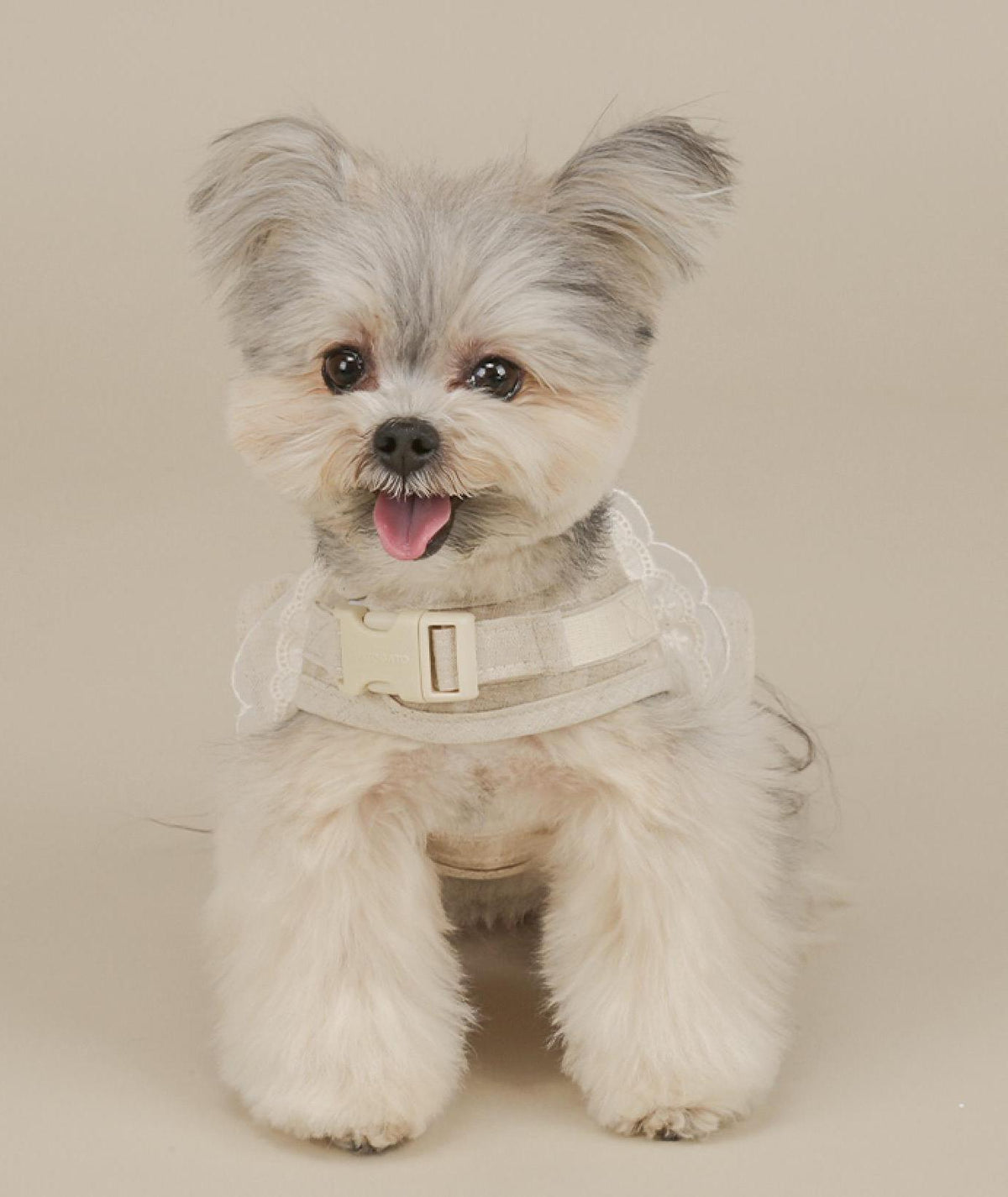 NKpup Chic Linen Ruffle Harness in cream with delicate lace detailing