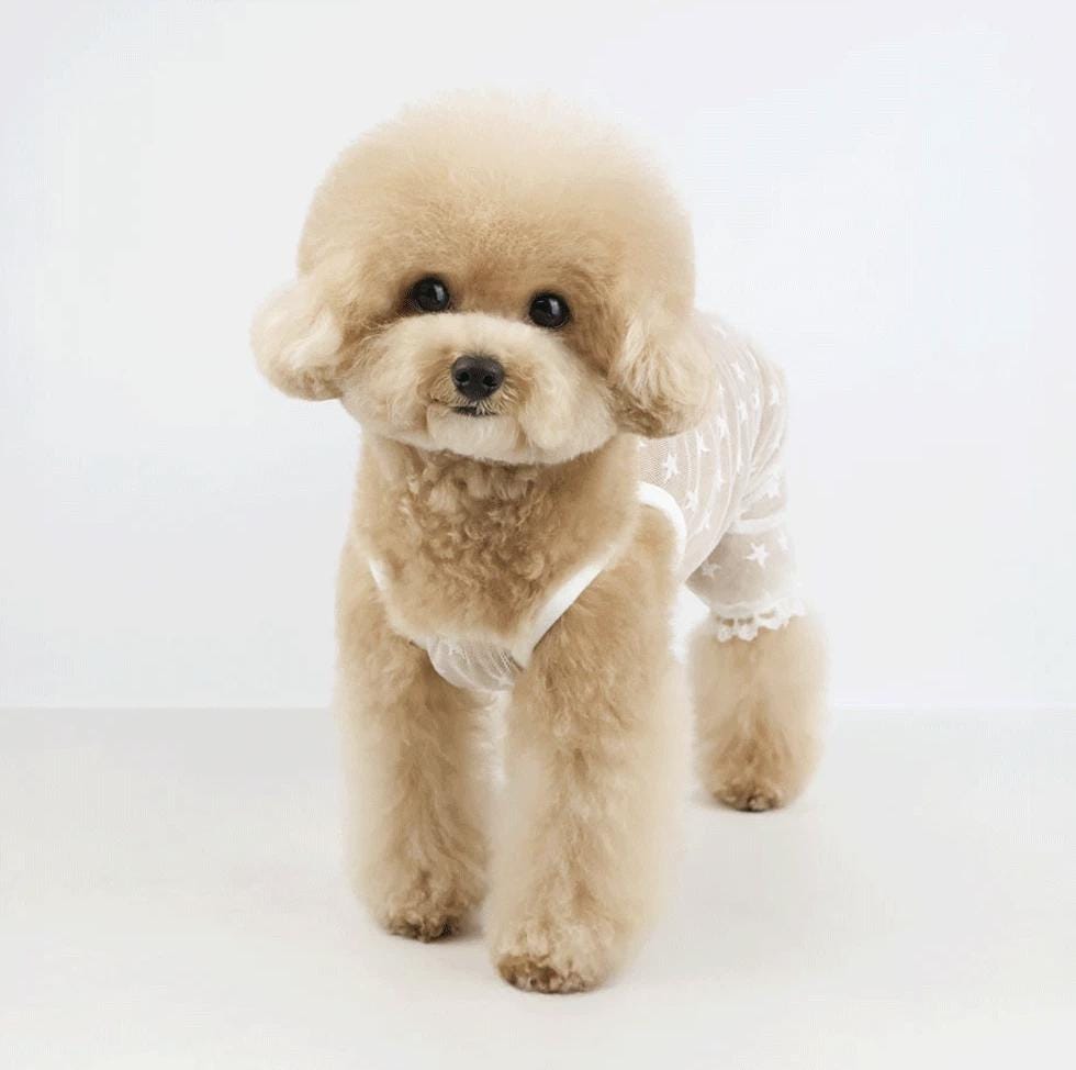 NKpup white star mesh dog overall
