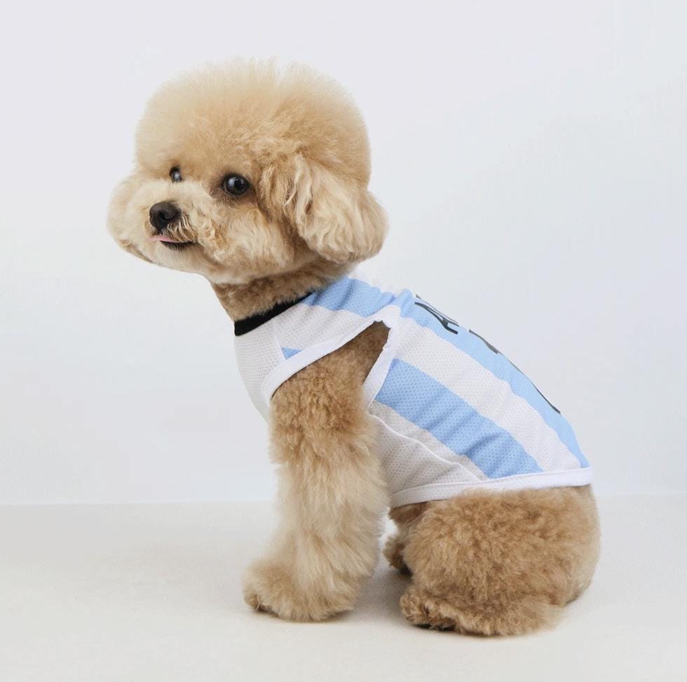 NKpup soccer jersey cooling top for dogs in white and light blue stripes