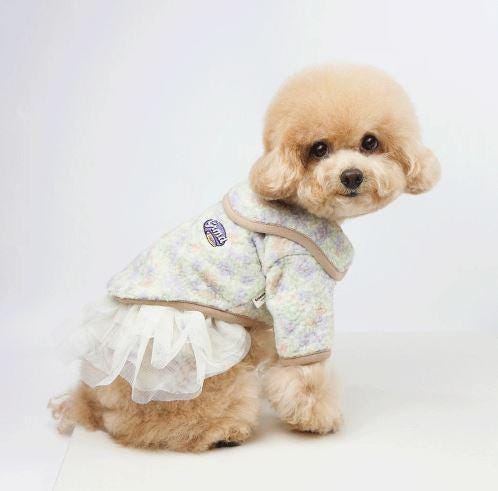 Pastel Camp Fleece Jacket, S-2XL, Small Dog Clothes, Dog Fleece, Dog Outer, Dog Winter Clothes, NKPUP - NKpup