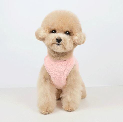 Teddy Snap Cardigan, S-2XL, Small Dog Clothes, Dog Vest, Winter Outfit, Gift for Furry Friend, NKpup - NKpup