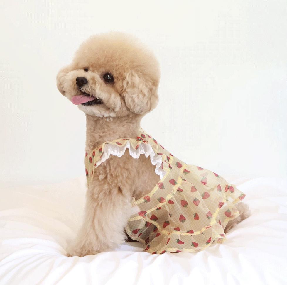NKpup Strawberry Picnic Dress with red strawberry pattern and white ruffle trim