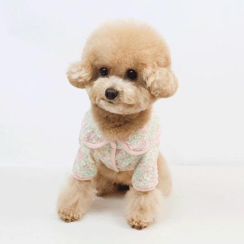 Pastel Camp Fleece Jacket, S-2XL, Small Dog Clothes, Dog Fleece, Dog Outer, Dog Winter Clothes, NKPUP - NKpup
