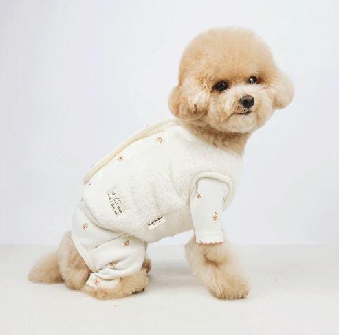 Teddy Snap Cardigan, S-2XL, Small Dog Clothes, Dog Vest, Winter Outfit, Gift for Furry Friend, NKpup - NKpup