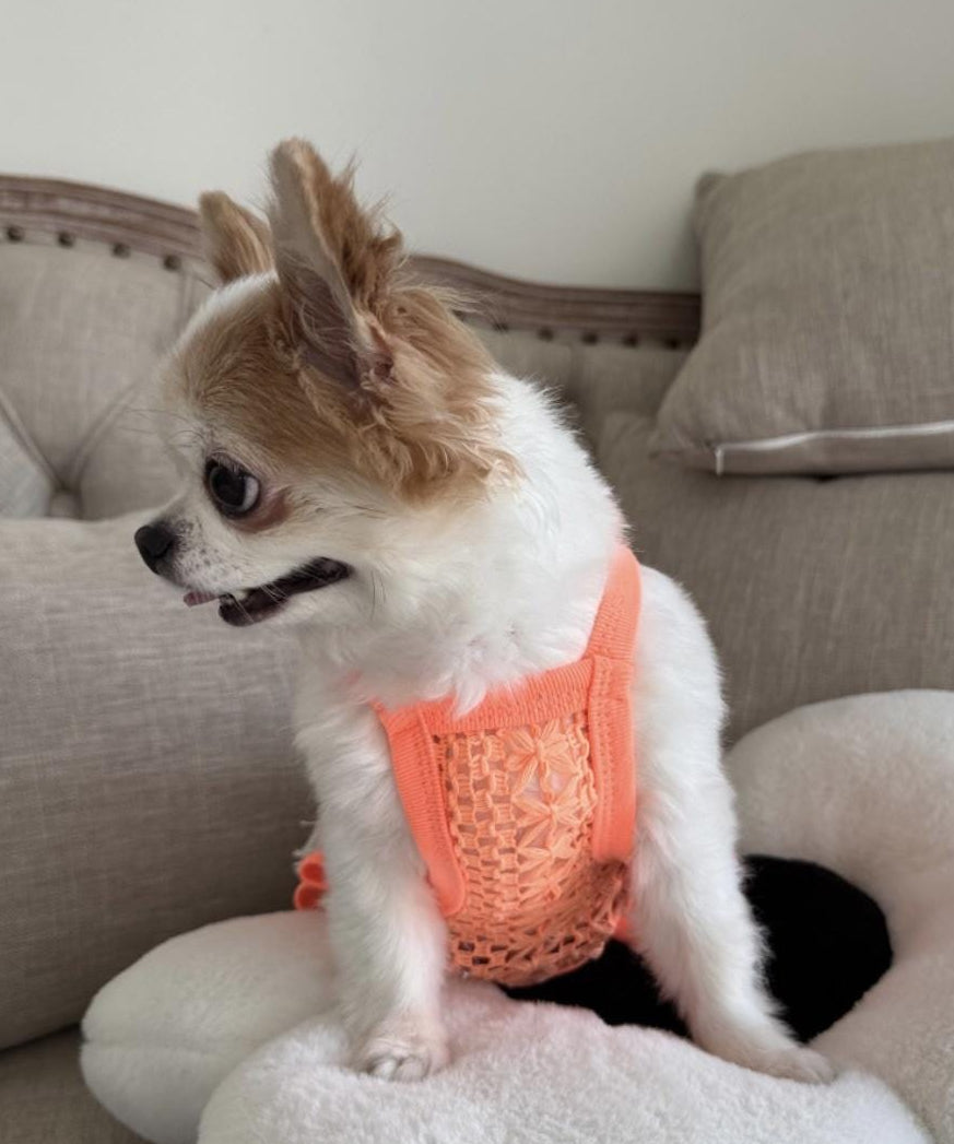NKpup Daisy Crochet Dog Tank Top in bright orange with floral pattern
