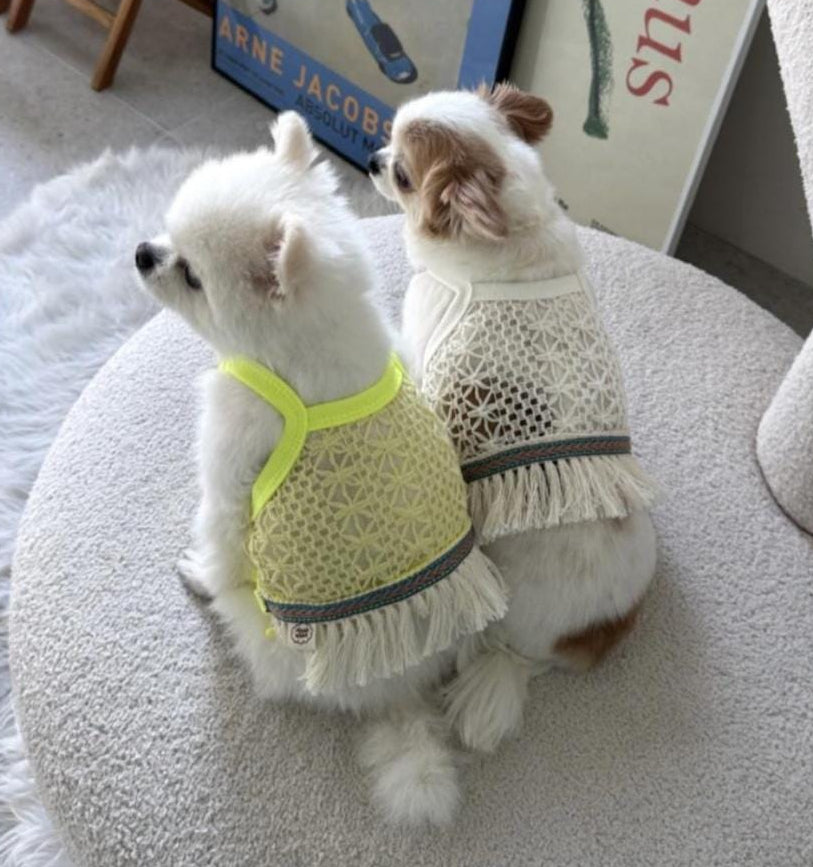 Daisy Crochet Dog Tank Top in yellow and cream with fringe trim