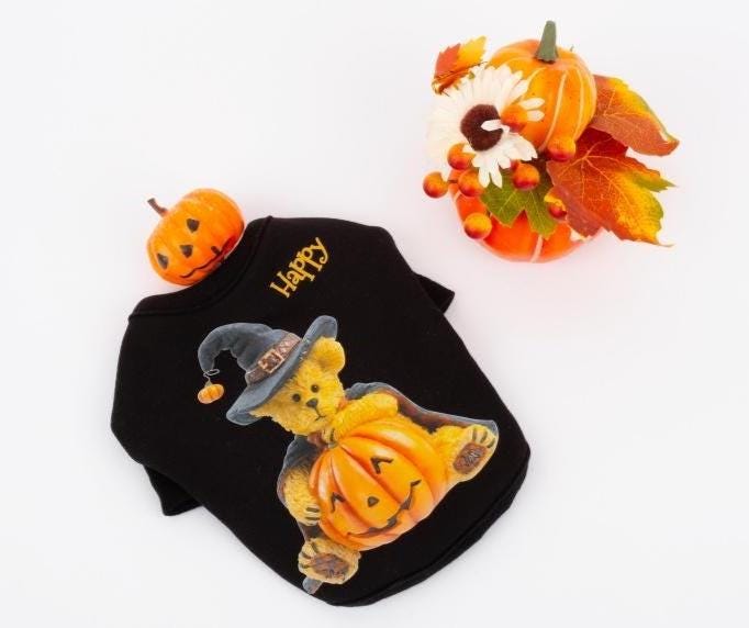 Black Halloween bear dog shirt featuring a teddy bear wearing a witch hat and holding a pumpkin.