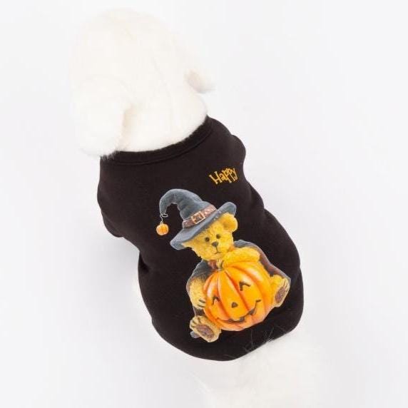 Black Halloween bear dog shirt featuring a cute teddy bear with a witch hat and pumpkin design.