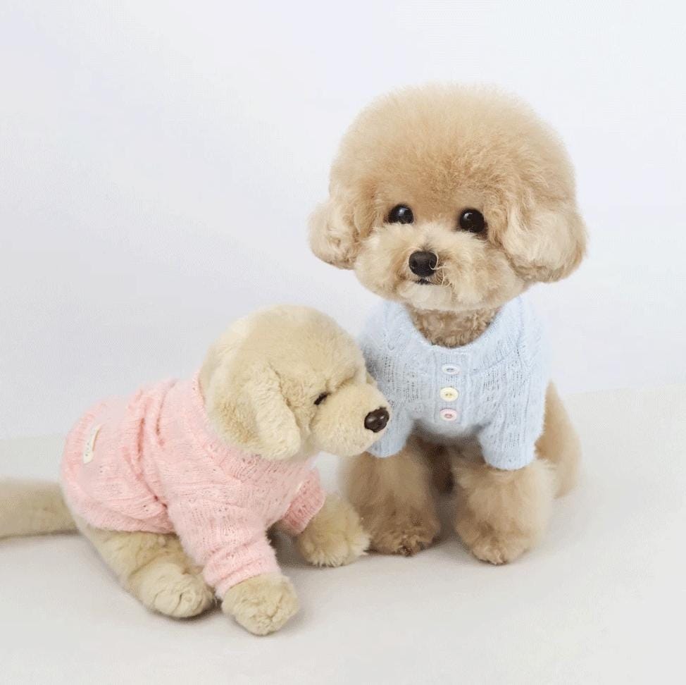 Cozy Knit Sweater, S-2XL, Small Dog Clothes, Ultra Lightweight Dog Sweater, Dog Knit, NKPUP - NKpup