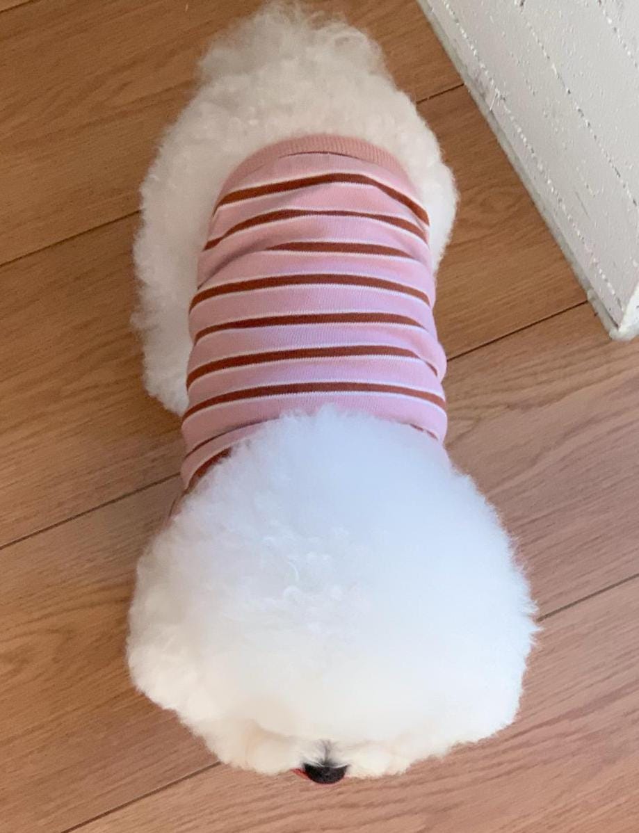 Striped Polo Shirt, S-XL, Small Dog Clothes, Dog Cute Top, Dog Comfy Top, Dog Knit, Gift for Furry Friends, NKPUP - NKpup