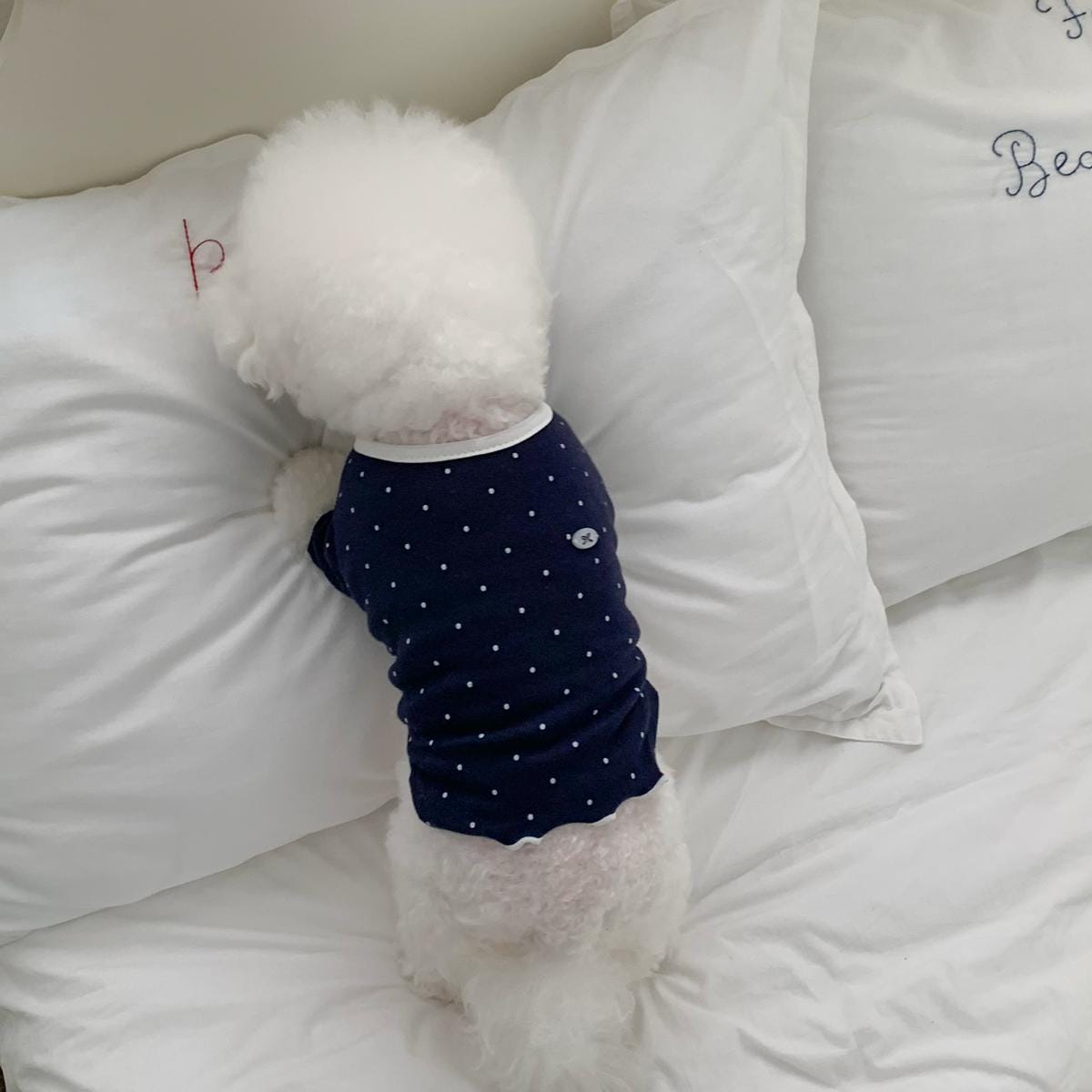 Mini Dot Sleeve Top, S-XL, Small Dog Clothes, Dog Cute Top, Dog Comfy Top, Dog Knit, Gift for Furry Friends, NKPUP - NKpup