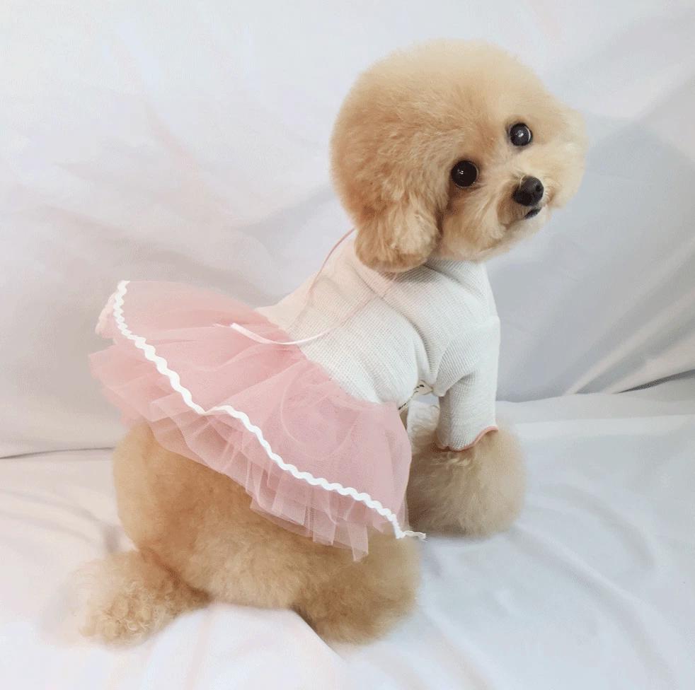 NKpup Ribbon Tutu Dress in light pink and white