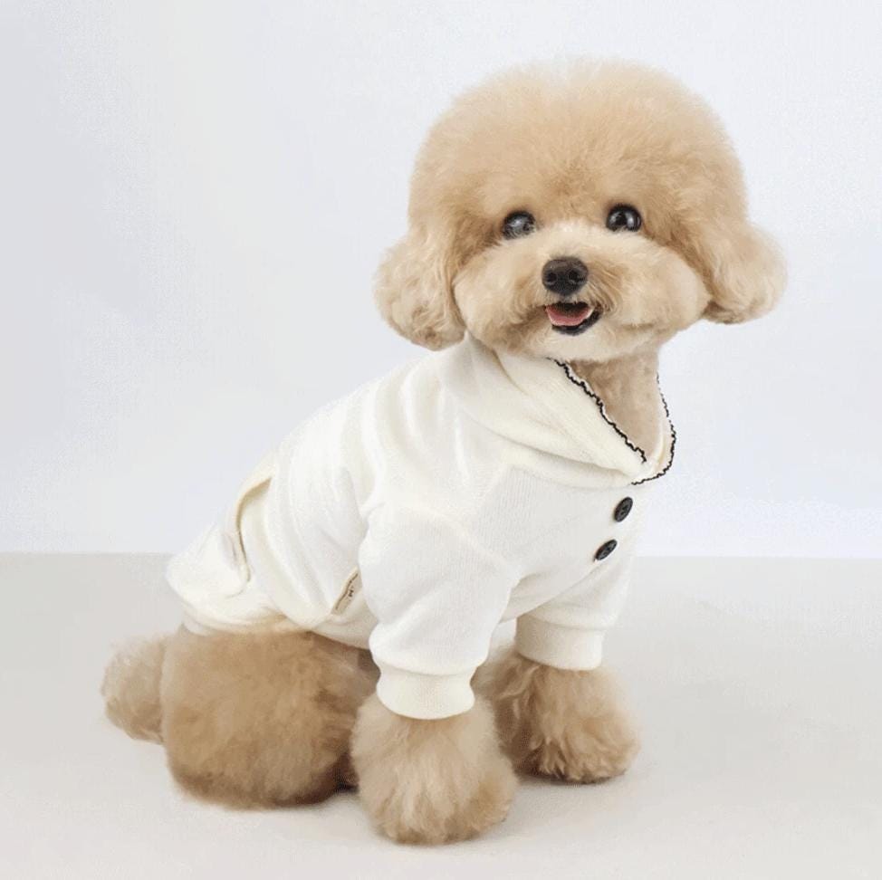 Soft Velvet Pocket Hoodie, S-2XL, Small Dog Clothes, Dog Sweatshirts, Dog Sweater, Dog Apparel, Pet Clothing, NKPUP - NKpup
