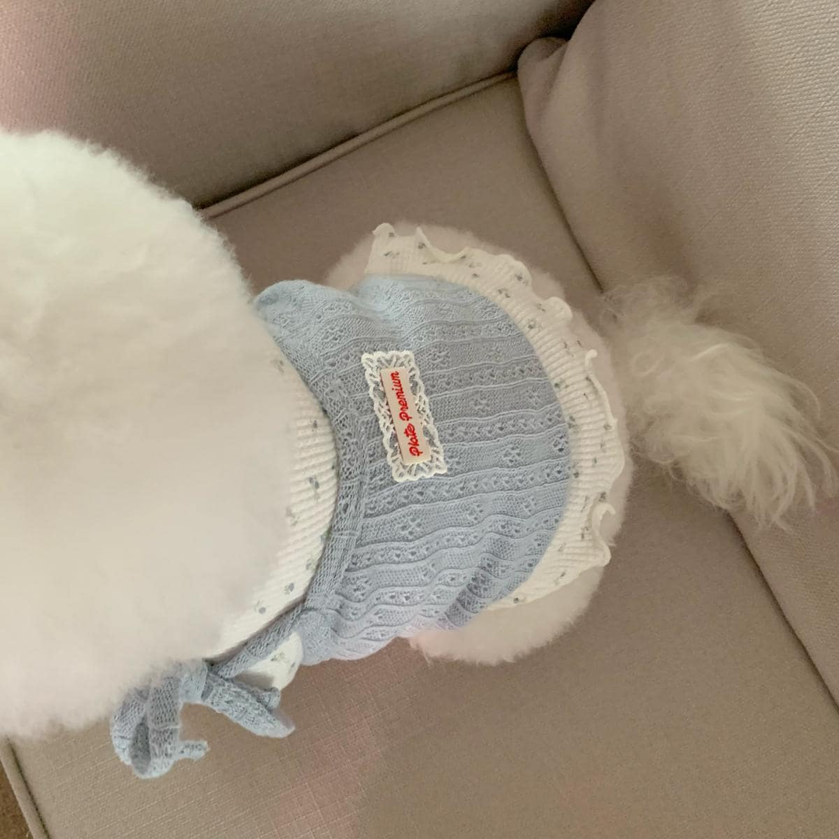 Ribbon Layered Knit Top, S-XL, Small Dog Clothes, Dog Cute Top, Dog Comfy Top, Dog Knit, Gift for Furry Friends, NKPUP - NKpup
