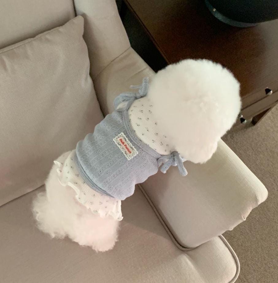 Ribbon Layered Knit Top, S-XL, Small Dog Clothes, Dog Cute Top, Dog Comfy Top, Dog Knit, Gift for Furry Friends, NKPUP - NKpup