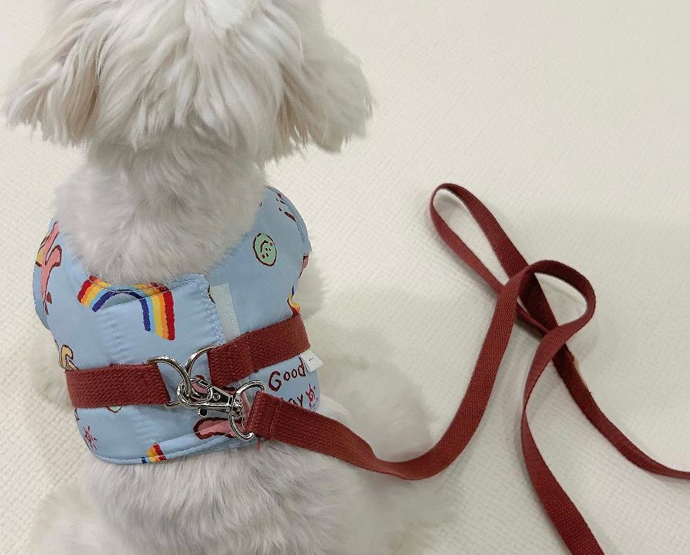 NKpup light blue cartoon print dog harness and matching leash set