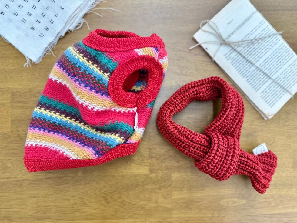 NKpup Bene Zigzag Knit Dog Vest in red with colorful multi-stripe patterns and matching knit toy.