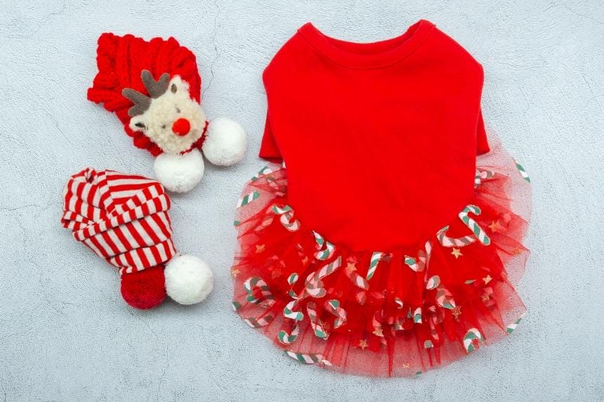 NKpup red Christmas candy dog dress with a tutu skirt and matching accessories