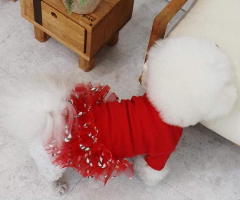 NKpup Christmas Candy Dog Dress in red with a candy-patterned tulle tutu skirt