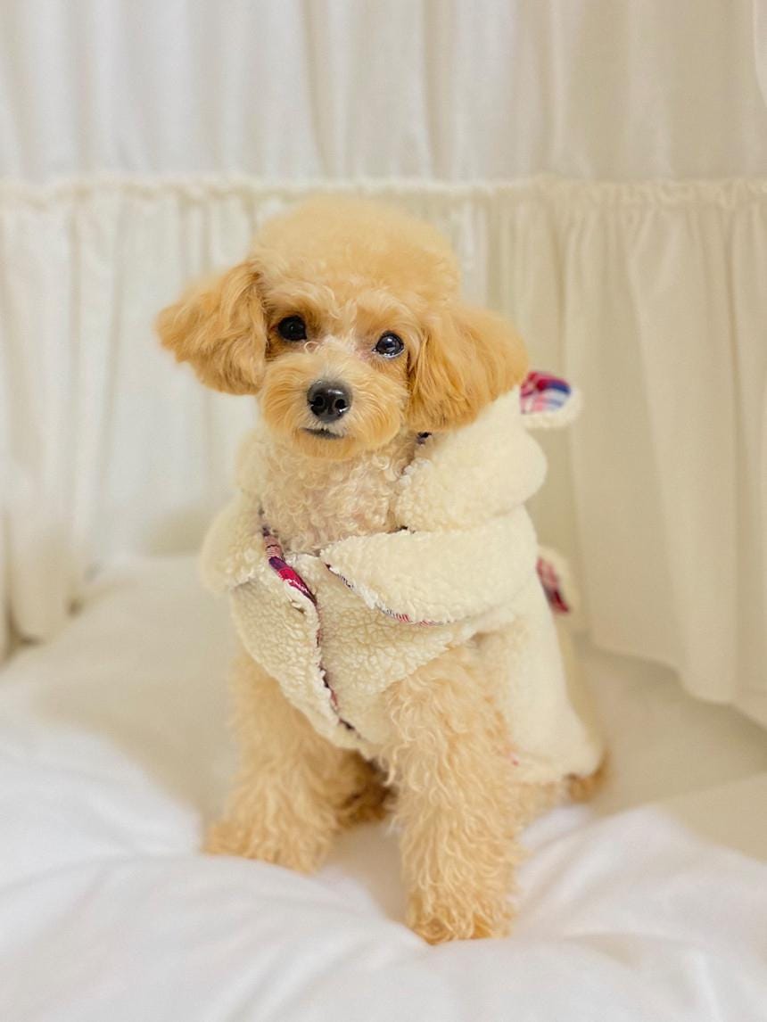 Bear Ears Plaid Sherpa Jacket, S-XL, Small Dog Clothes, Dog Winter Vest, Dog Cozy Outfit, Dog Jacket, Gift for Furry Friends, NKPUP - NKpup