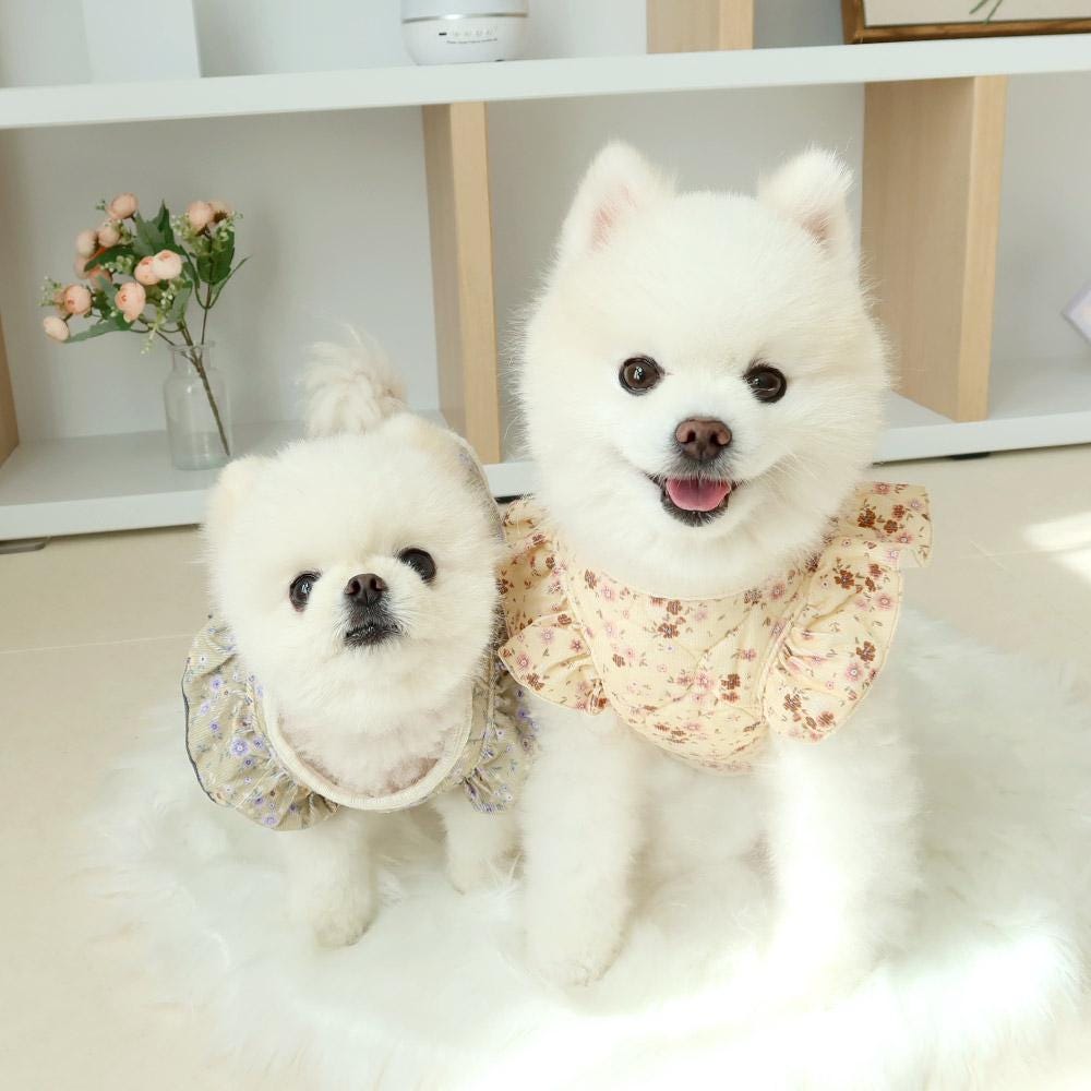 Floral Quilted Puff Vest, S-2XL, Small Dog Clothes, Dog Vest, Dog Outer, Small Dog Fashion, NKPUP - NKpup