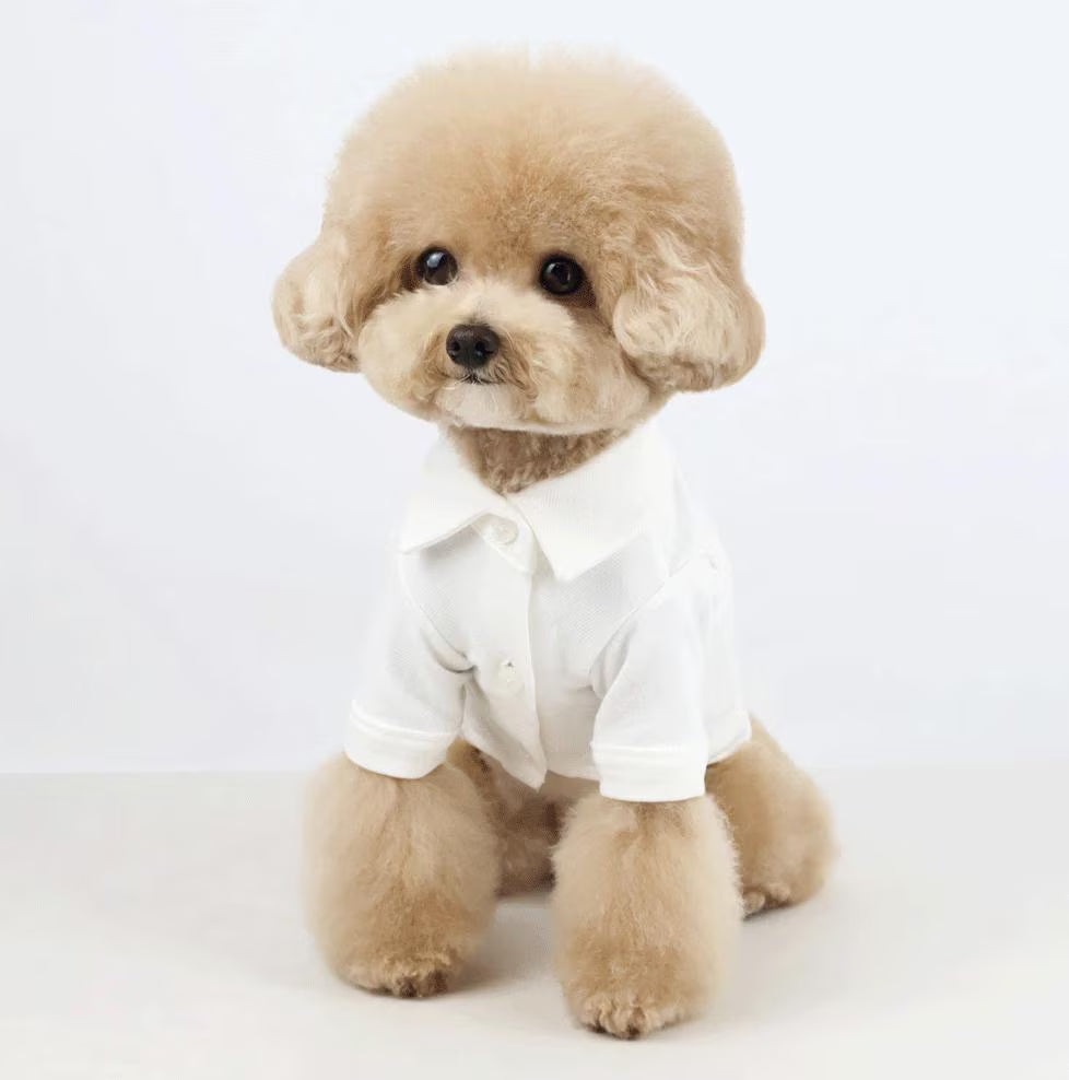 Standard Denim Dog Shirt