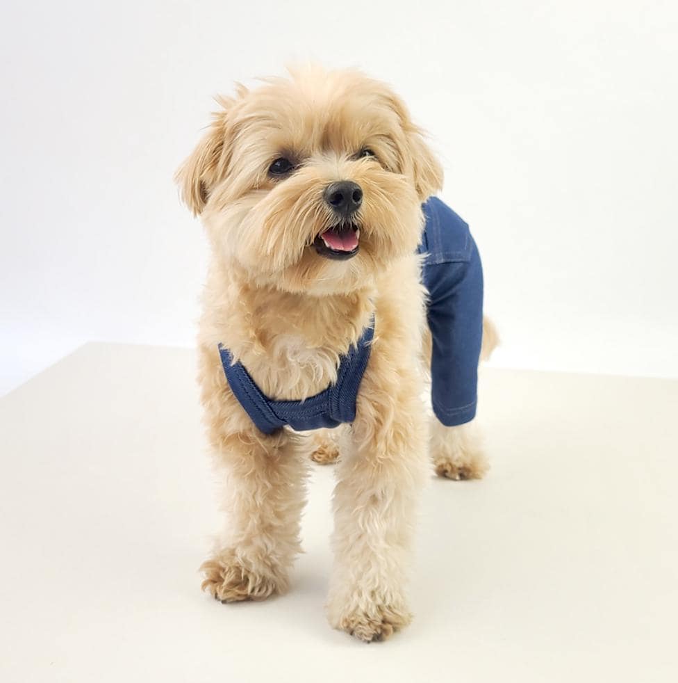 Blue denim dog suspender overalls