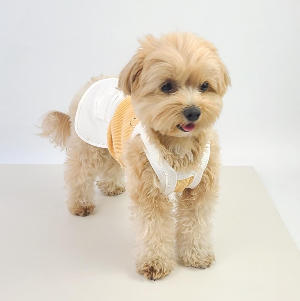 Denim Jogger Pants, S-2XL, Dog Jumpsuit, Pet Clothing, Dog Skirt, Dog Winter Top, Dog Fashion, Dog Apparel, Pet Clothing - NKpup