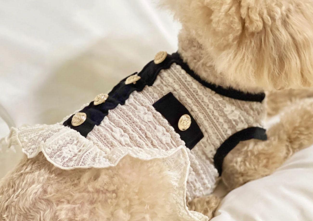 Elegant Tweed Ruffle Dress, XS-2XL, Dog Clothes, Dog Luxury Jacket, Small Dog Clothes, Dog Fashion, Dog Apparel - NKpup