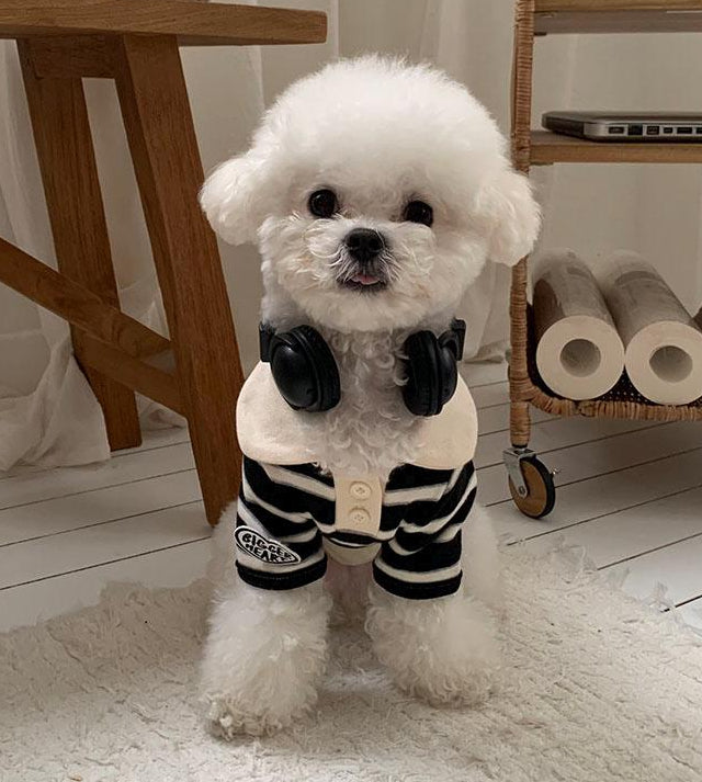 NKpup Bigger Heart striped dog polo shirt with a white collar