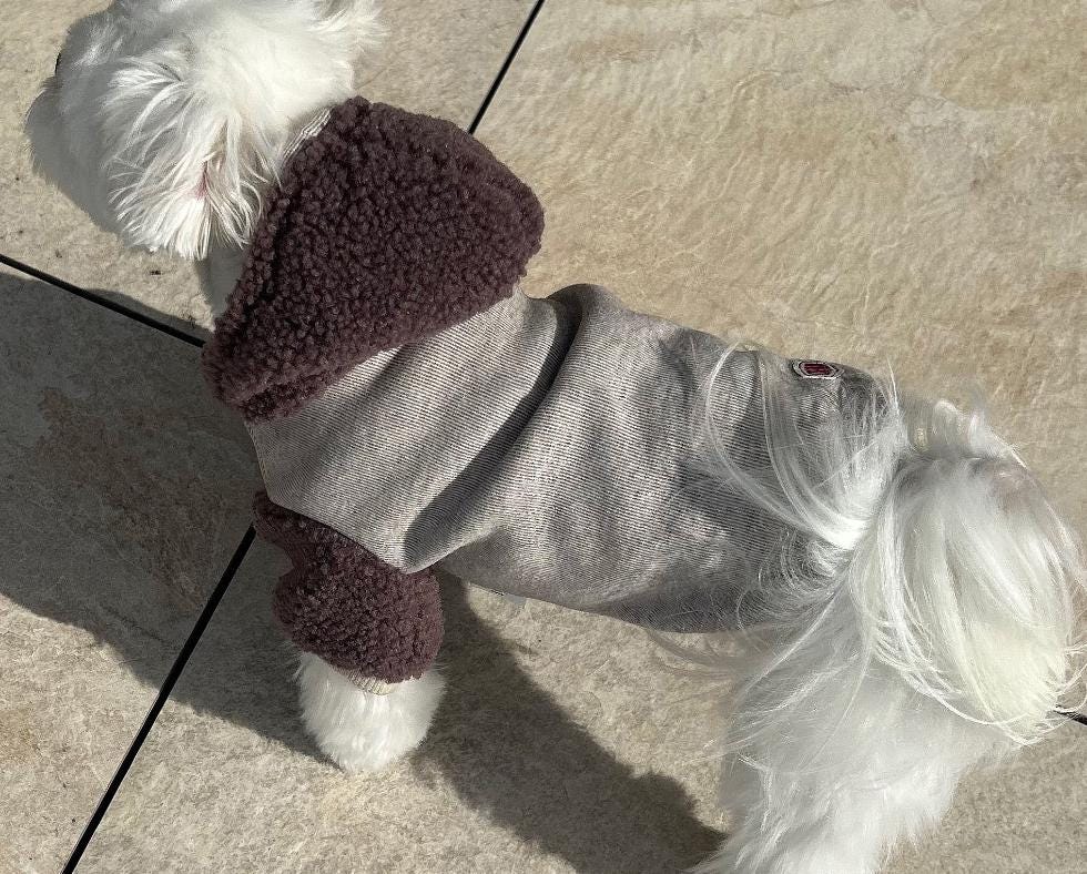 NKpup Draw Sherpa Dog Hoodie Jacket in grey with a dark purple fleece hood and trim