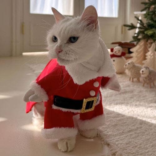 Santa Costume, XS-XL, Christmas Pet Costume, Chucky Dog Costume, Party Dog Costume, Cat Costumes, Dog Clothes, Pet Clothing - NKpup