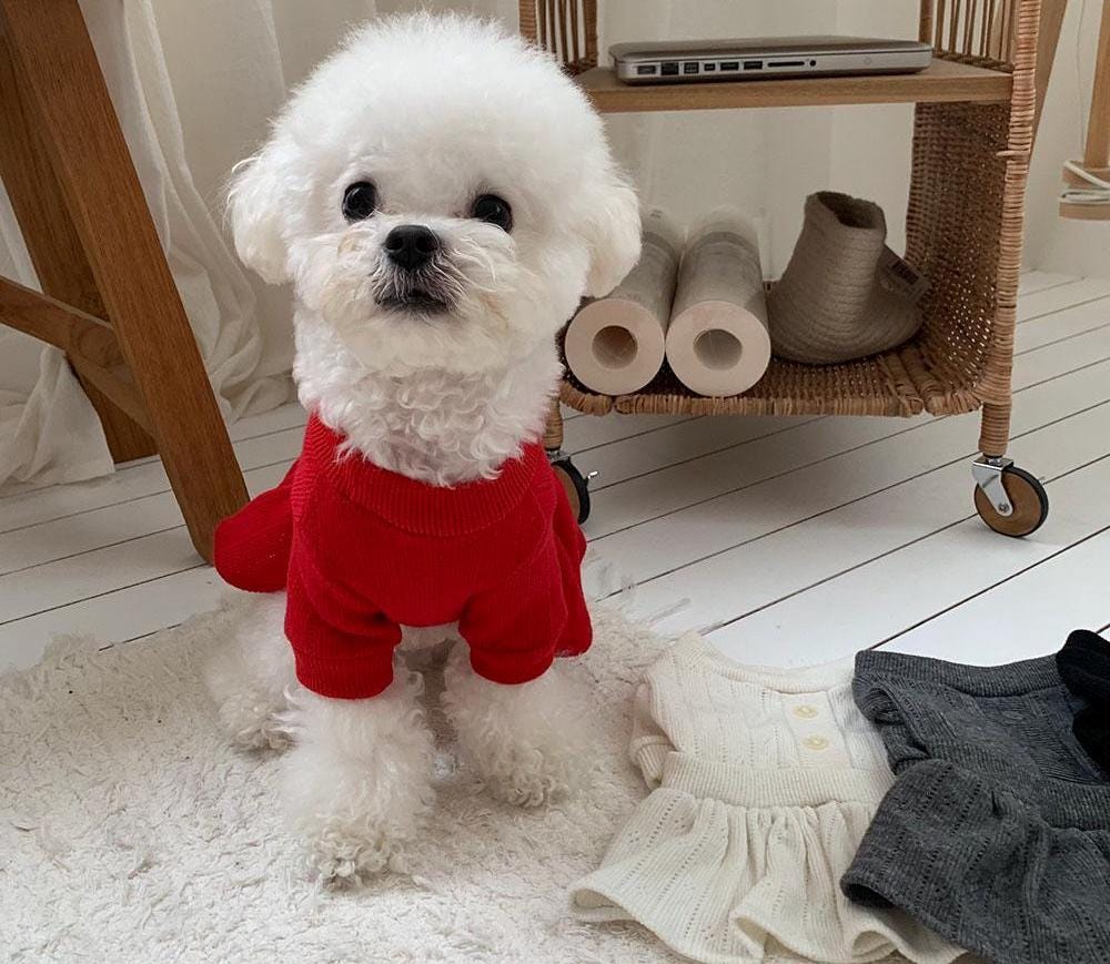 NKpup chic red knit peplum dog dress