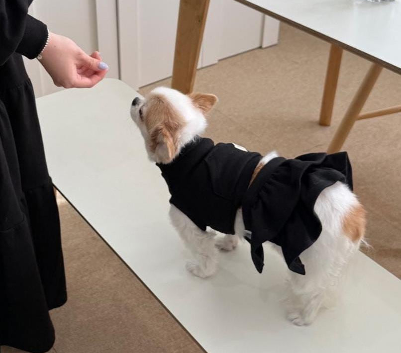 Two Piece Ruffle Skirt Dress Set, S-2XL, Small Dog Clothes, Dog Dress, Dog Outfit, Dog Apparel, Pet Clothing, NKPUP - NKpup