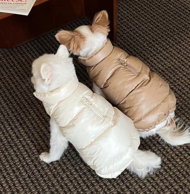 Cozy Zip-up Puffer Jacket, S-3XL, Winter Jacket, Small Dog Clothes, Dog Jacket, Dog Fashion, Dog Apparel, Pet Clothing - NKpup