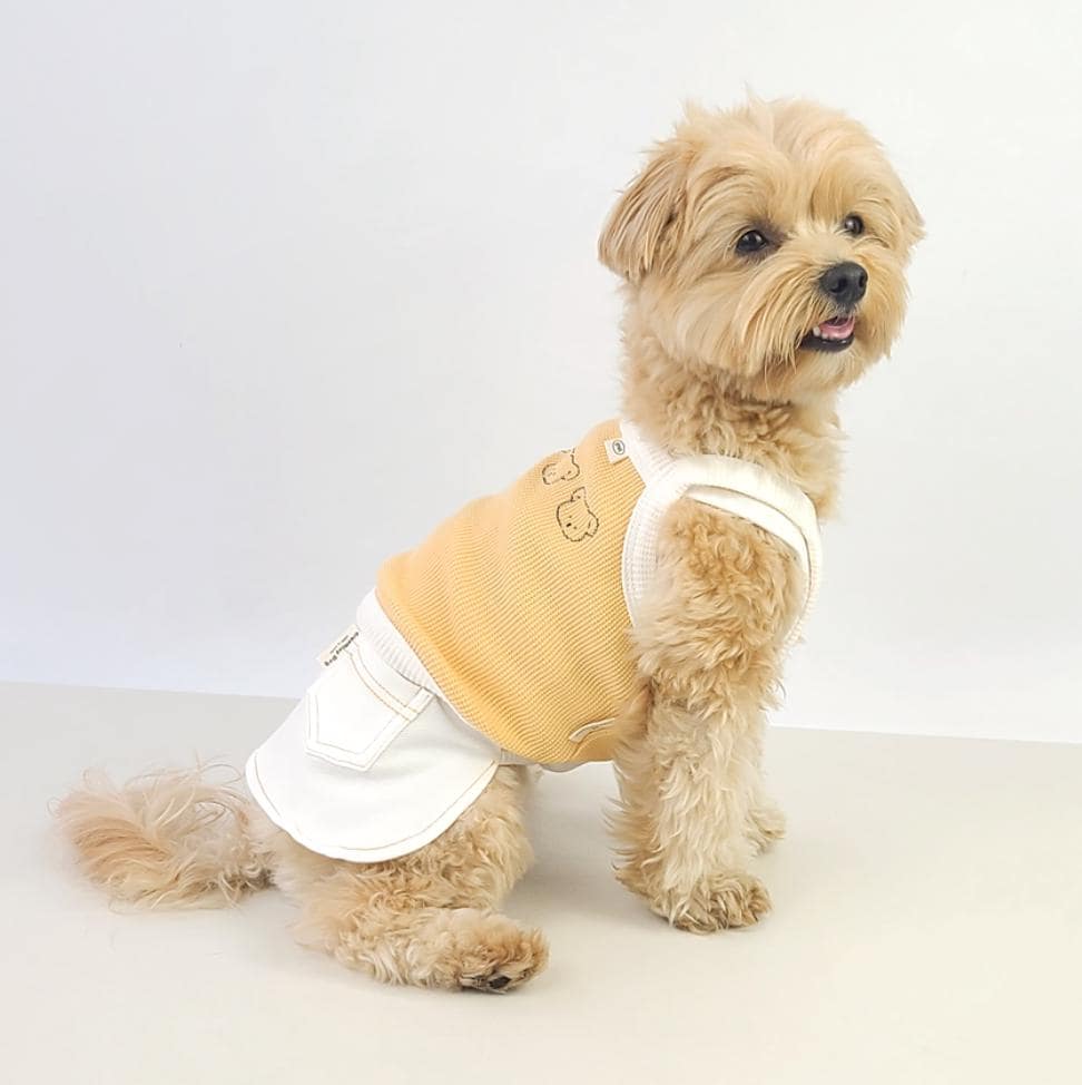 Denim Jogger Pants, S-2XL, Dog Jumpsuit, Pet Clothing, Dog Skirt, Dog Winter Top, Dog Fashion, Dog Apparel, Pet Clothing - NKpup