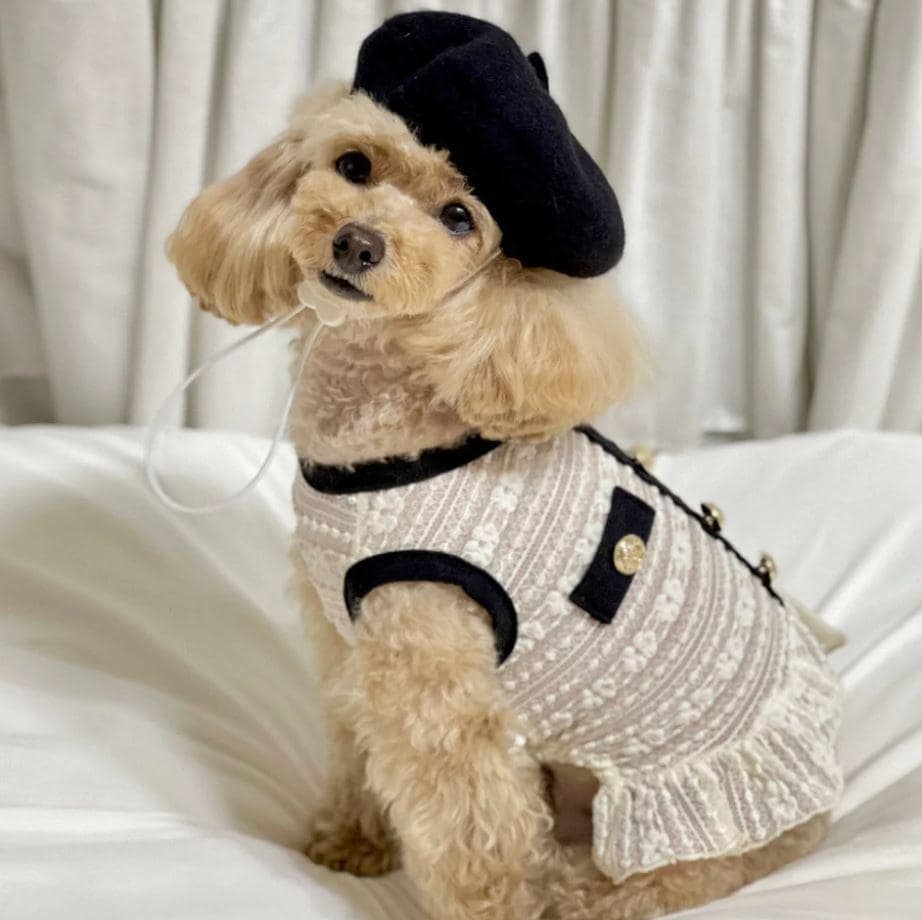 Elegant Tweed Ruffle Dress, XS-2XL, Dog Clothes, Dog Luxury Jacket, Small Dog Clothes, Dog Fashion, Dog Apparel - NKpup